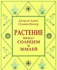 Растение между солнцем и землей Учение о физическом и эфирном пространстве - фото №10