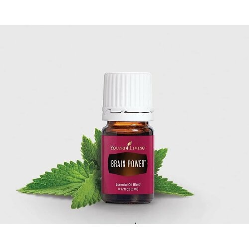 Смесь эфирных масел Brain Power Янг Ливинг / Young Living, 5 мл