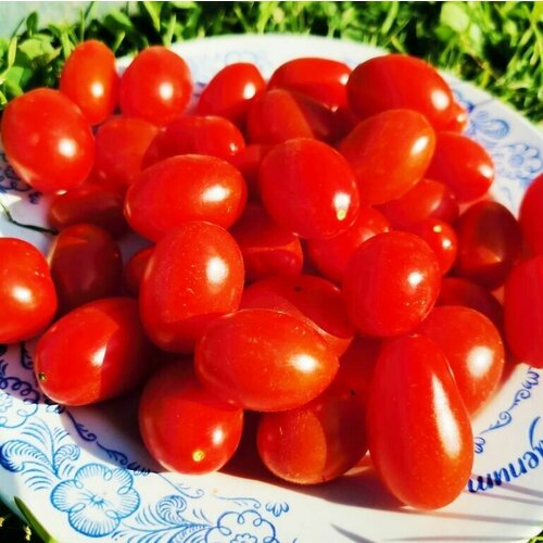 Коллекционные семена томата Сумашедшие вишни Барри красные