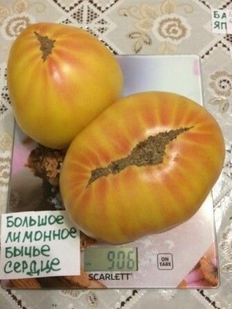 Коллекционные семена томата Большое Лимонное Бычье Сердце