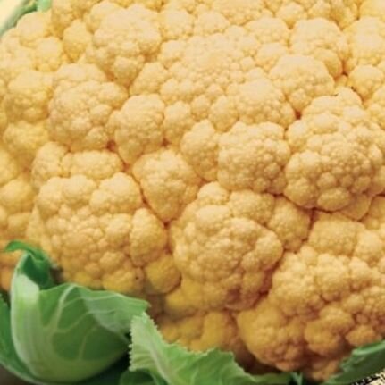 Коллекционные семена капусты цветная Масляная головушка (сырно-желтая)