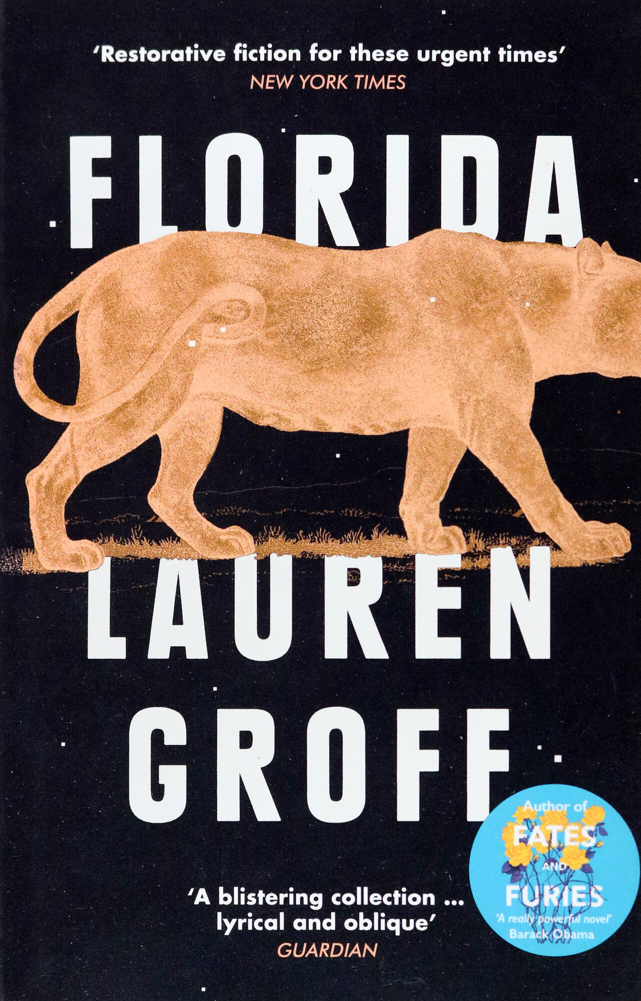 Florida / Книга на Английском (Groff Lauren) - фото №1