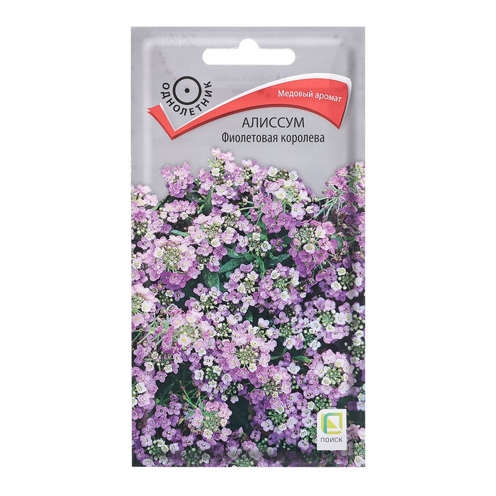 Семена цветов Алиссум "Фиолетовая королева"03гр.