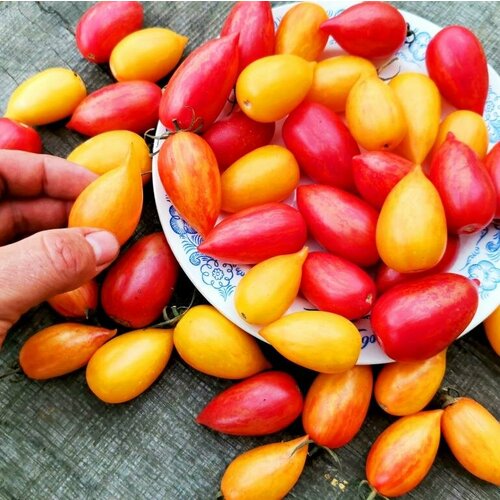 Сладкая сосулька или Леденец - семена томатов