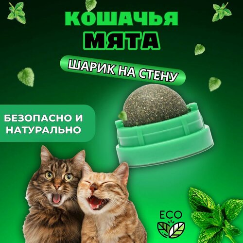 Кошачья мята / Шарик с кошачьей мятой на стену / Лакомство для кошек