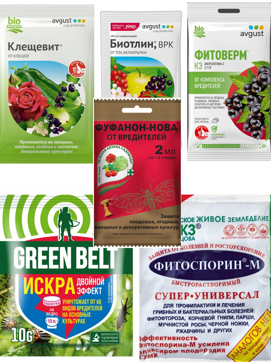 фото Средство от комплекса болезней и вредителей Искра, Фитоверм, Фитоспорин, Клещевит и Биотлин