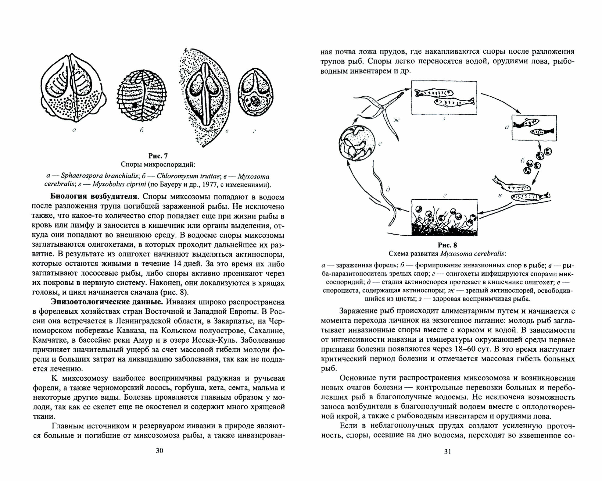 Паразитарные болезни рыб.Уч.пос - фото №4