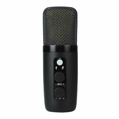 BM-501 Микрофон конденсаторный USB Foix 307000₽