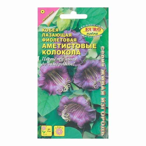 Семена цветов Кобея Аметистовые колокола фиолетовая, 0,3 г семена цветов кобея аметистовые колокола фиолетовая 0 3 г 2 шт