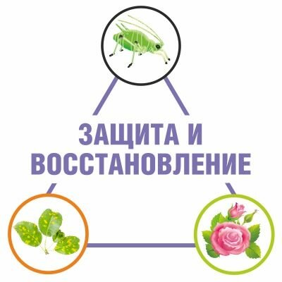 Зеленое мыло с пихтовым экстрактом БиоМастер, с распылителем, 500 мл - фотография № 12