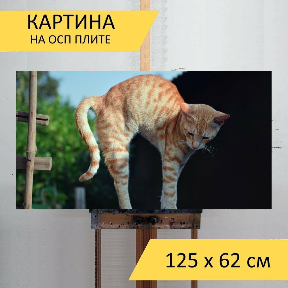 Картина на ОСП 125х62 см. "Кошка, котенок, растяжение" горизонтальная, для интерьера, с креплениями