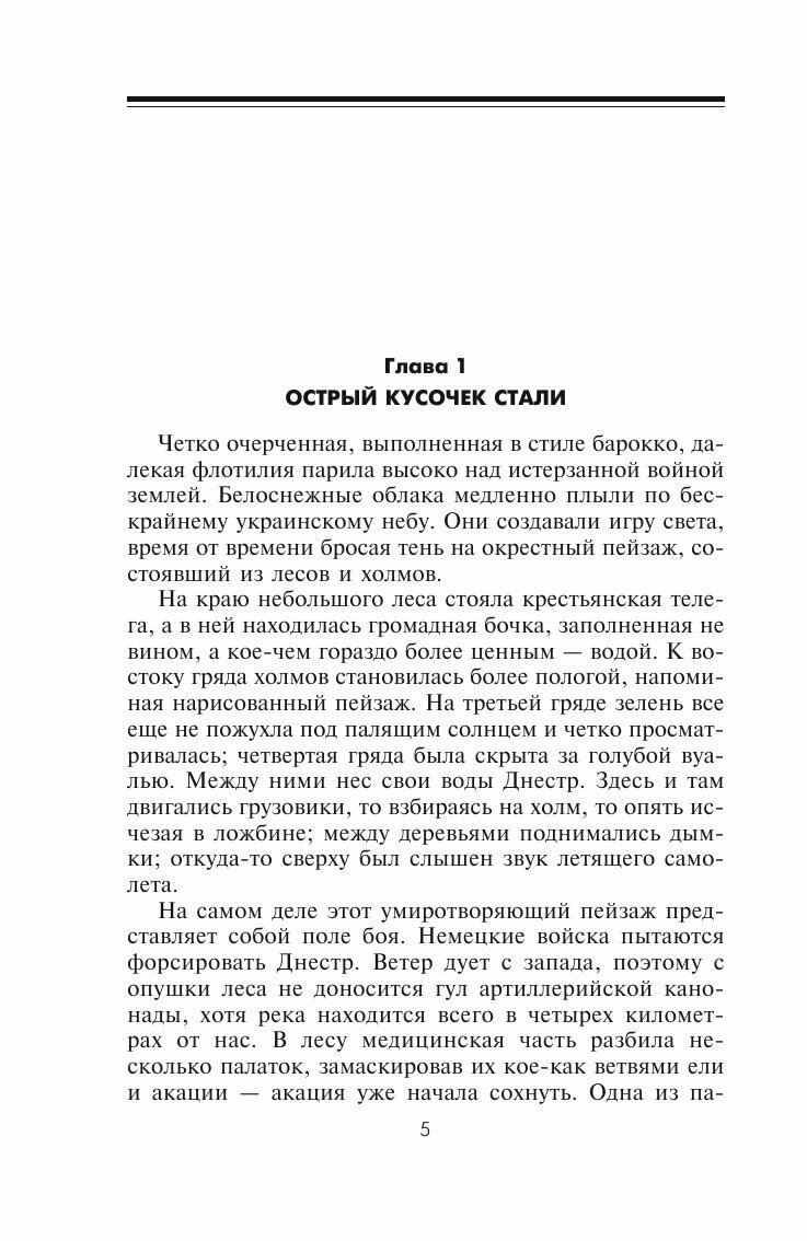 Книга Невидимый флаг Фронтовые будни на Восточном фронте 1941-1945 - фото №5