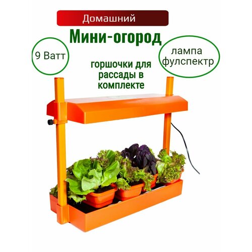 Домашний мини-огород с фитолампой фулспектр аэросад hobbyfarm mini домашний умный смарт сад 3 ячейки с фитолампой dq6200 la