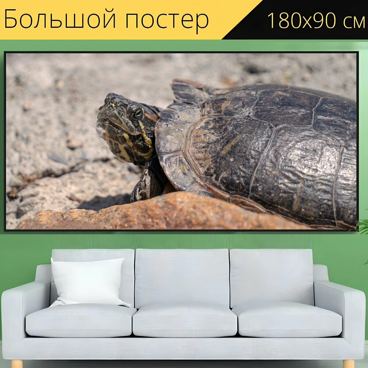 Большой постер "Черепаха, животное, дикая природа" 180 x 90 см. для интерьера