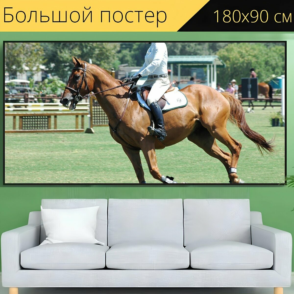 Большой постер "Лошадь, лошади, конный спорт" 180 x 90 см. для интерьера