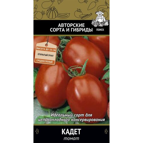 Семена овощей Поиск томат Кадет