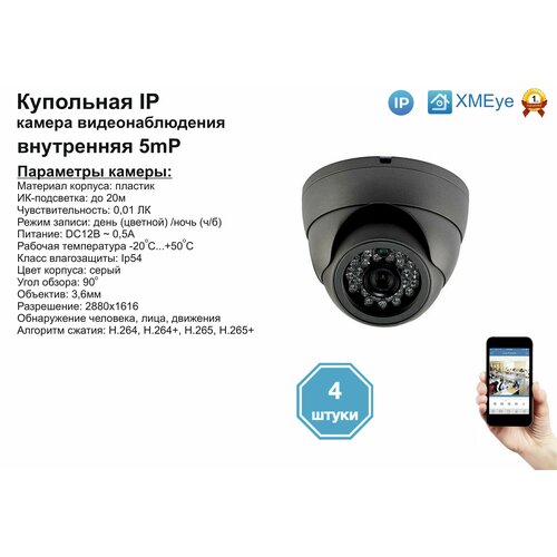 4шт DVS300IP5MP Внутренняя IP камера 5мП с ИК до 20м 1315500₽