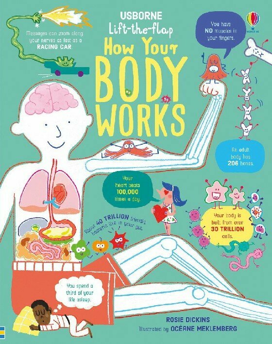Usborne Lift-the-flap How Your Body Works