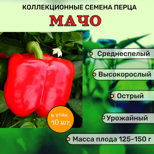 Коллекционные семена перца острого Мачо