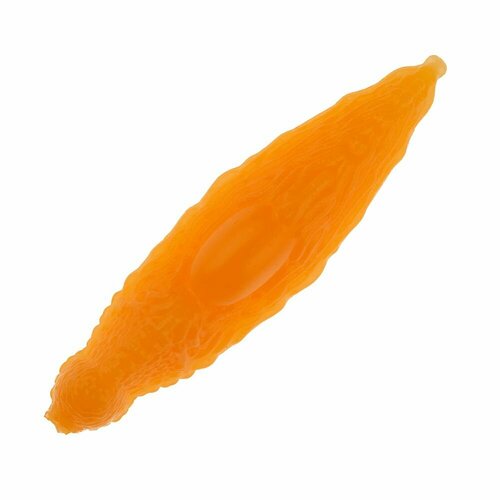 Силиконовая приманка для рыбалки Ojas Slizi SW 33мм Сыр #Orange (fluo), личинка на щуку, окуня, судака