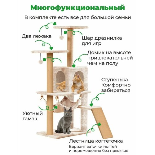 Когтеточка с домиком лестницей ZURAY 61х36х135
