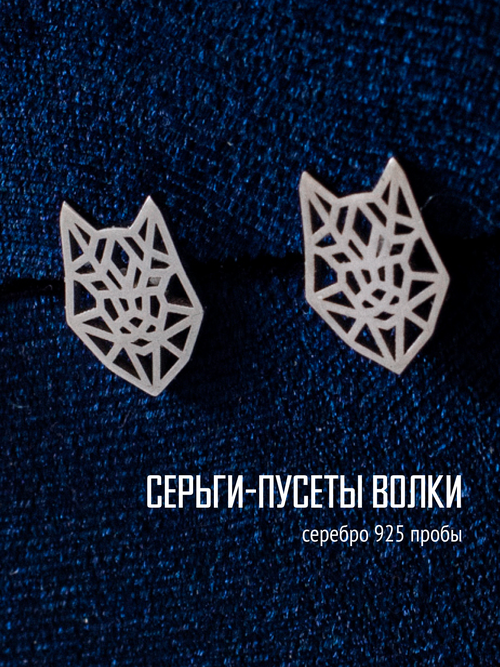 Серьги пусеты TOTEMICA, серебро, 925 проба, родирование, серебряный