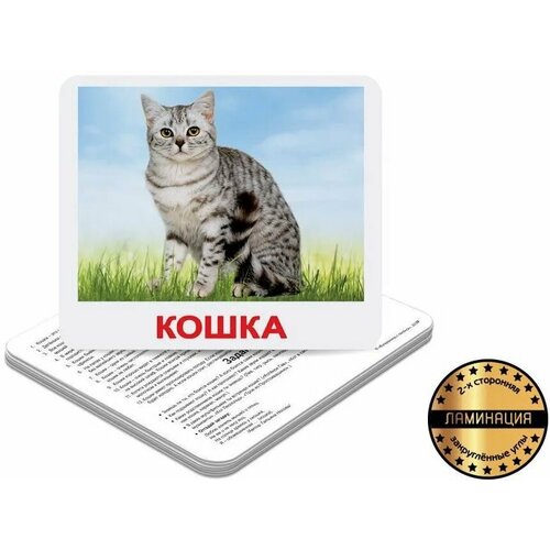 Обучающие карточки Вундеркинд с пеленок 