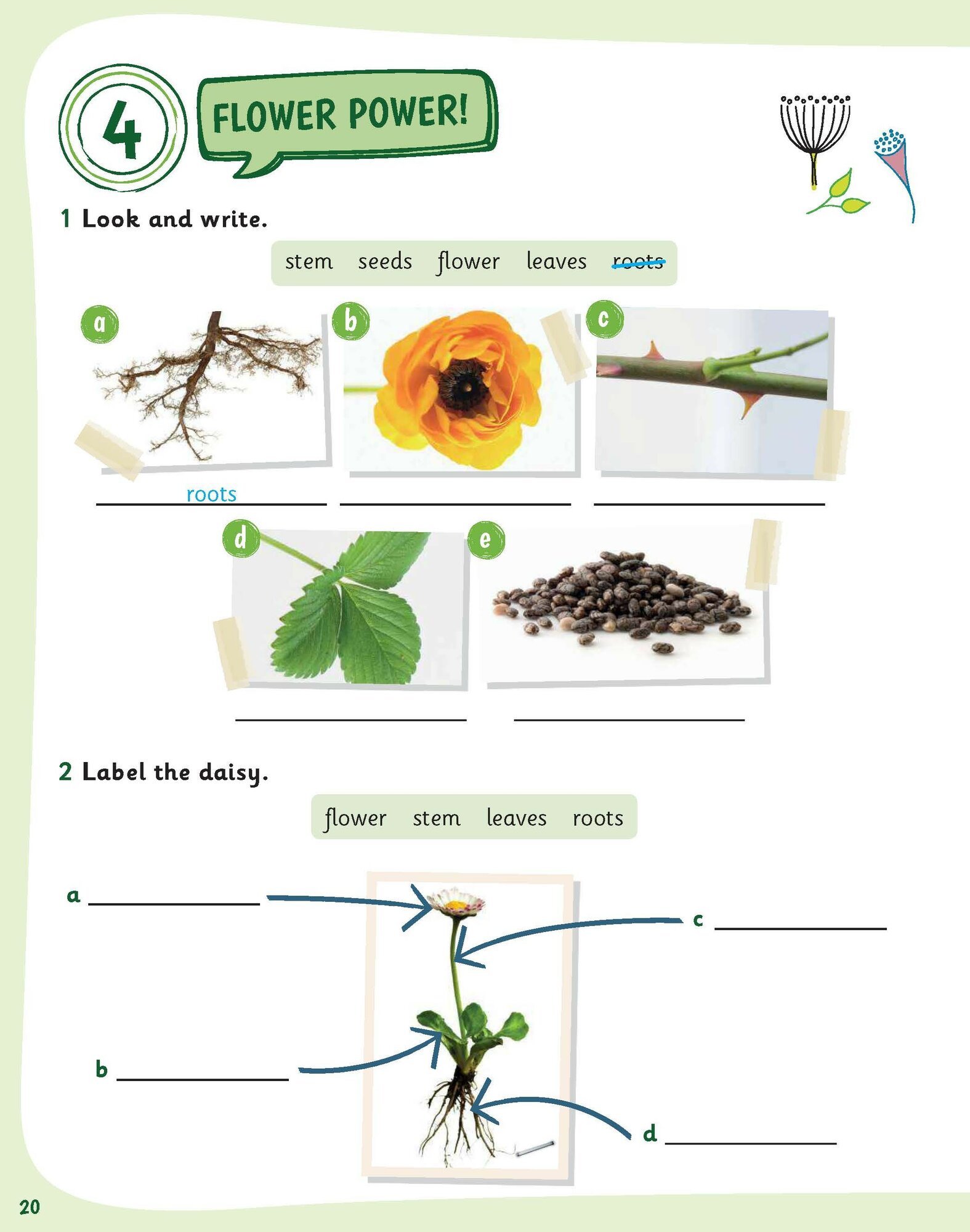 Science Skills. Level 1. Activity Book with Online Activities - фото №6