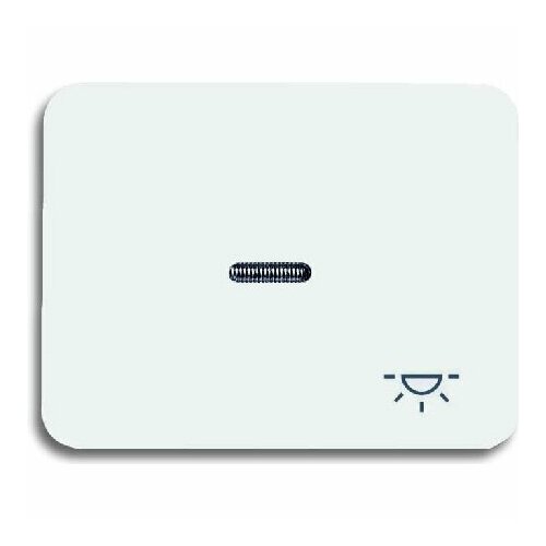 Крышка для переключателя / кнопки белого цвета 1789 LI-24G – Busch Jaeger – 2CKA001751A2201 – 4011395703502