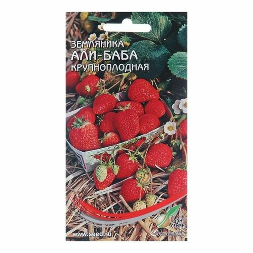 Семена Земляника Али-Баба крупноплодная, 60 шт ( 1 упаковка ) комплект семян земляника али баба х 3 шт