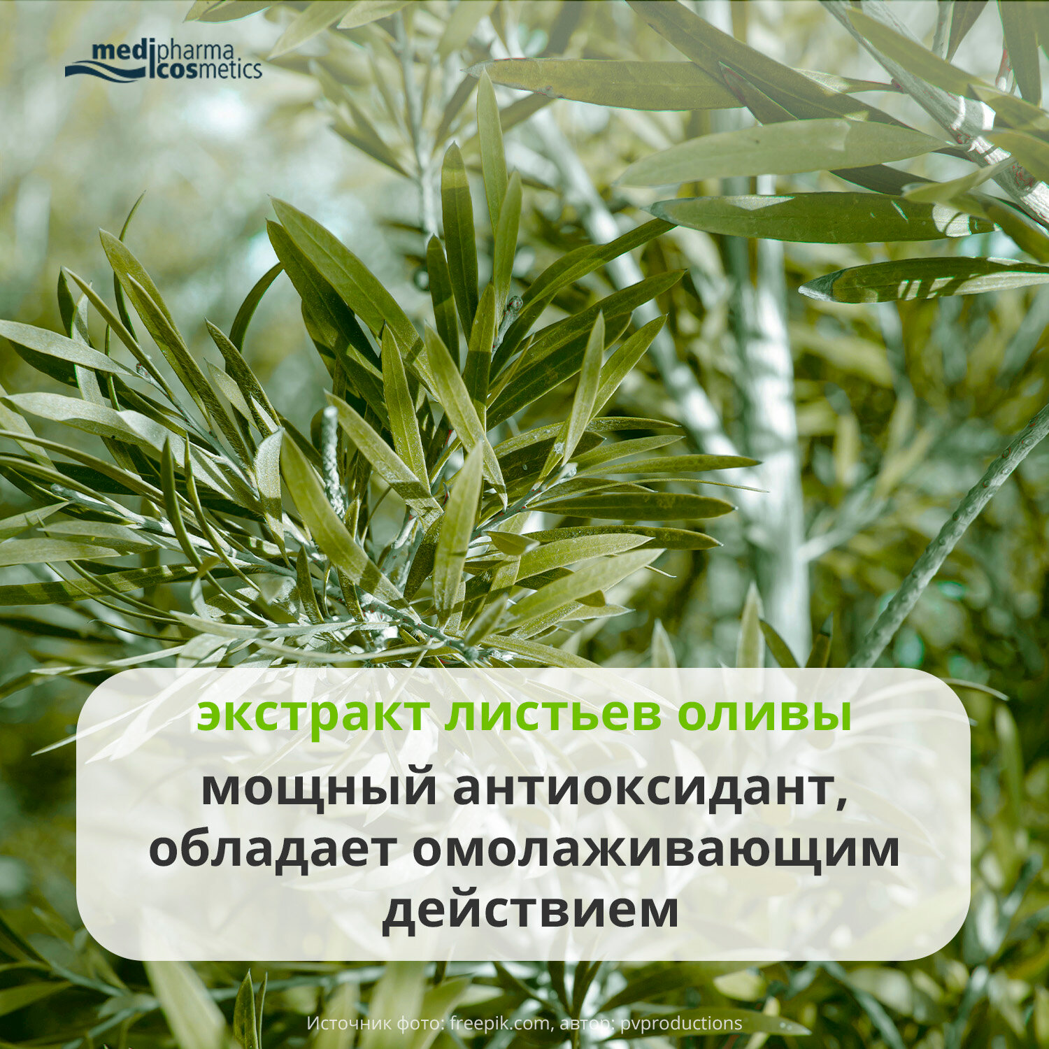 Косметика Для Кормящих Medipharma Cosmetics Oliven тоник для лица, 200 мл