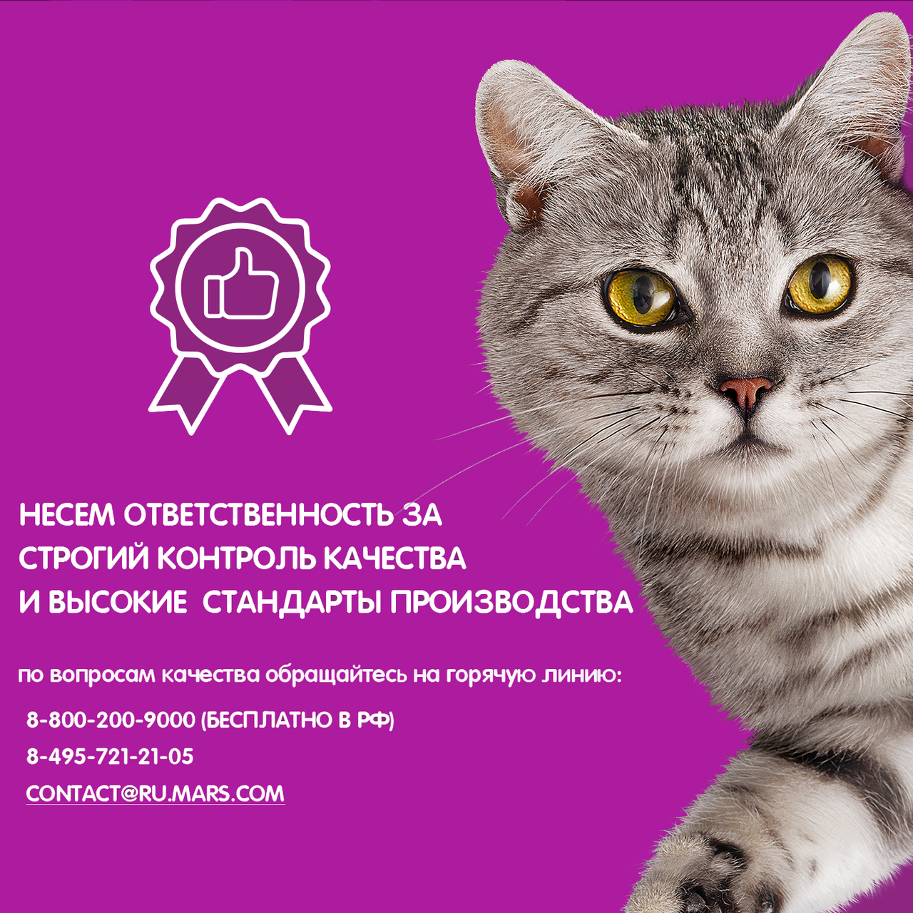 Сухой корм для кошек Whiskas Вкусные подушечки со сметаной и овощами, Аппетитное ассорти с говядиной и кроликом, 350г - фото №15