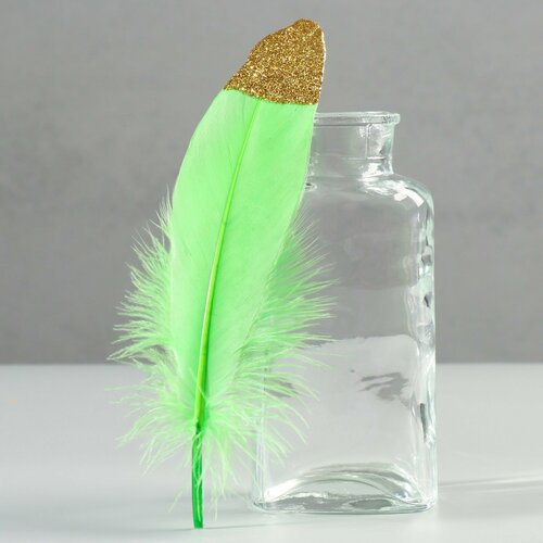 Набор перьев гуся 15-20 см 10 шт зелёное яблоко с золотой крошкой 346₽