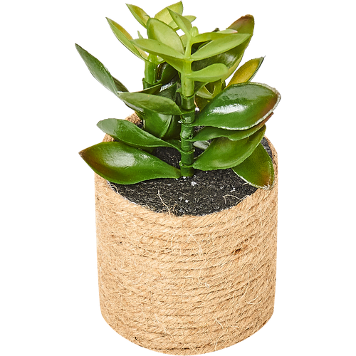 Горшок с искусственным растением с веревкой 12 см высота 16 см 1370₽