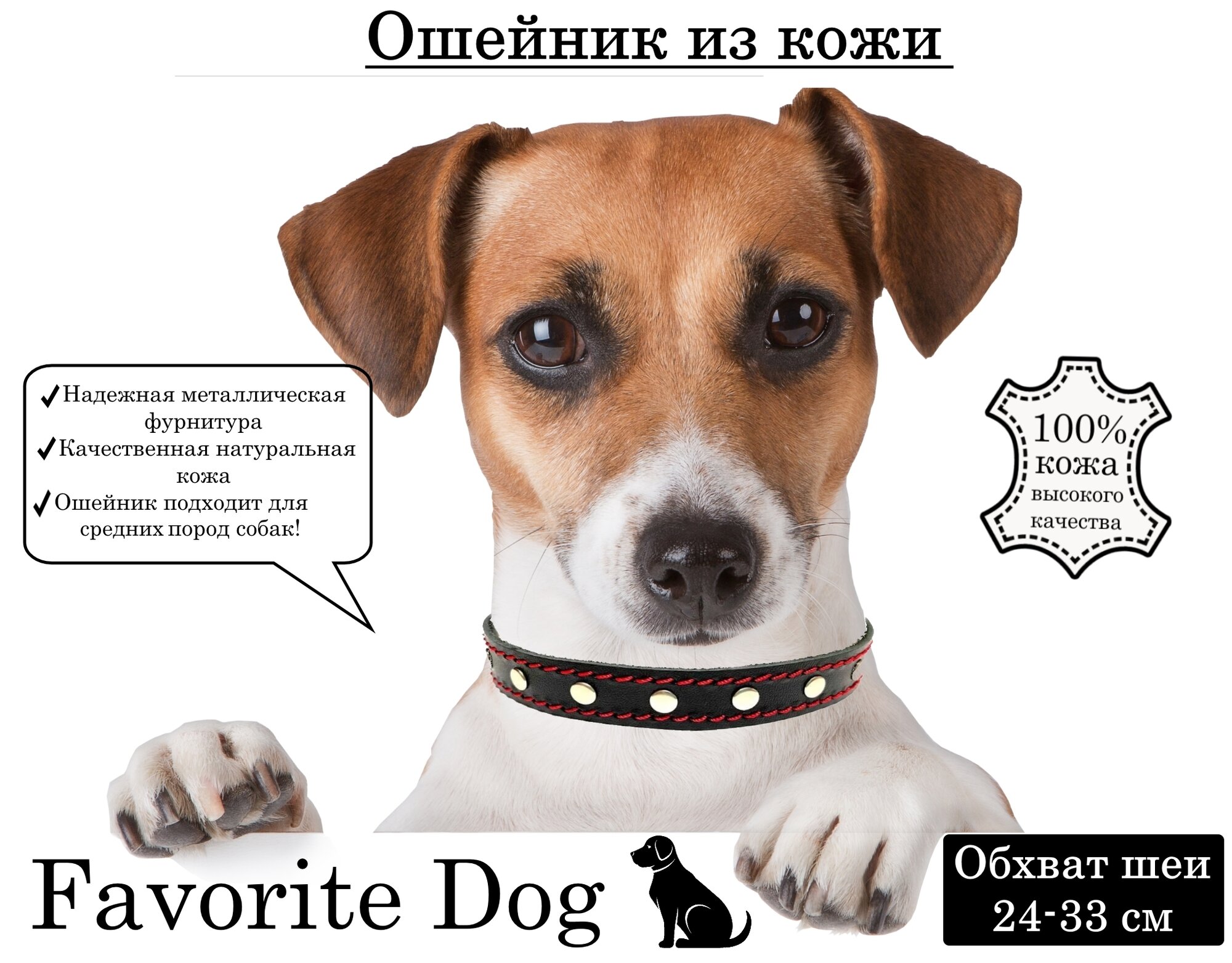 Ошейник для собак с красной строчкой Favorite DOG