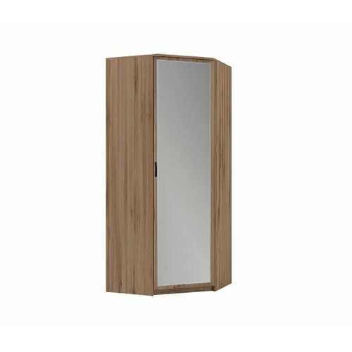 ЭКО Шкаф угловой дуэт люкс с зеркалом дуб вотан 17540₽