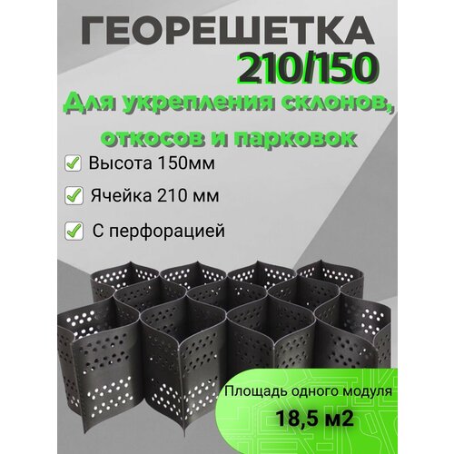 Георешеткагеосетка объемная с перфорацией ячейка 210210 высота 150 мм площадь модуля 4343м 185 м2 для откосов для парковки для укрепления склонов 5980₽