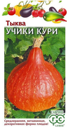 Семена Тыква Учики Кури 5шт Ранние (Гавриш) Н23