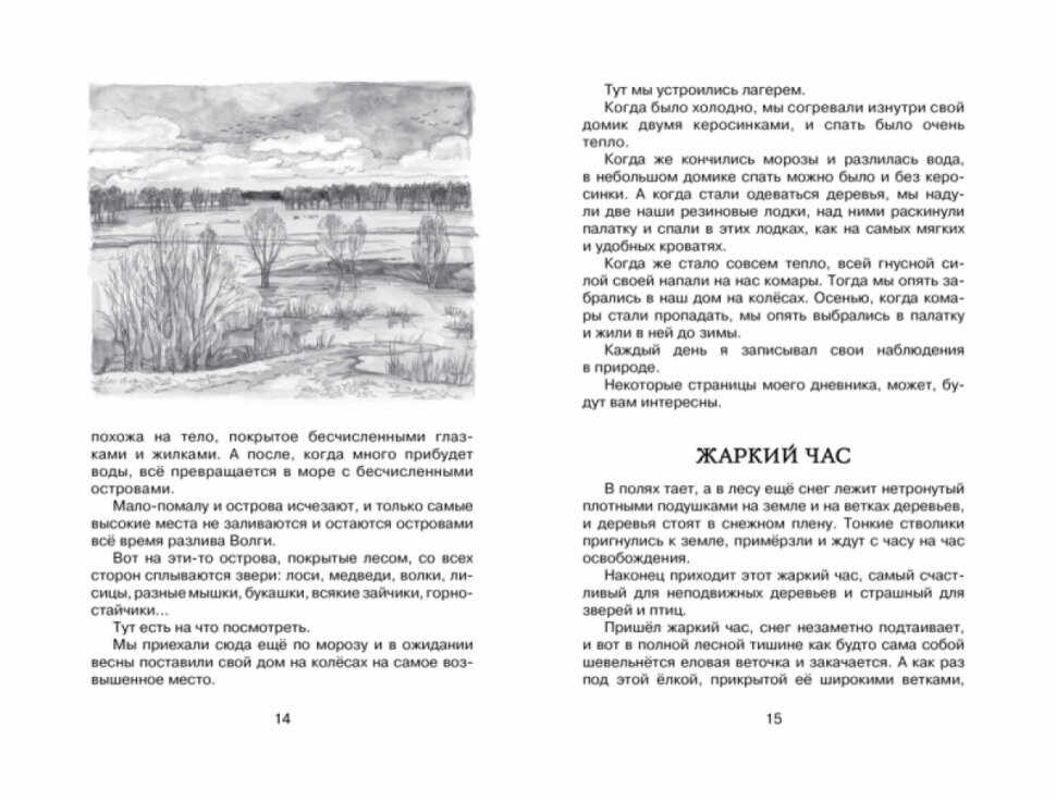 Лисичкин хлеб — фото 1