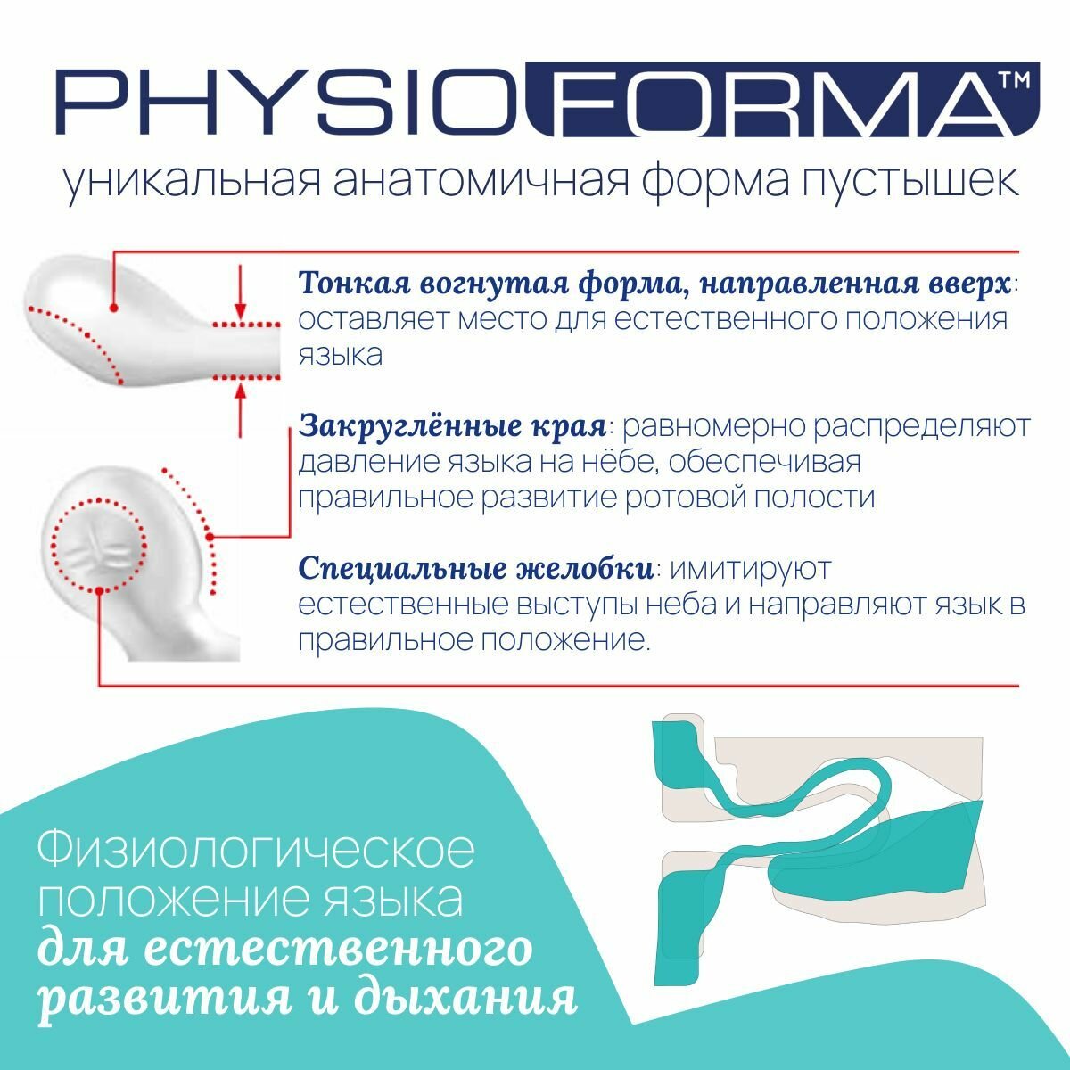 Пустышка для новорожденных 6 мес+ Chicco PhysioForma Dual Soft 2 шт розовая — фото 1