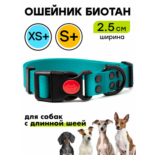 Ошейник из биотана 25-36 см (S+), 25 мм, Woofy "Iron" водостойкий, для небольших и средних собак, бирюзовый
