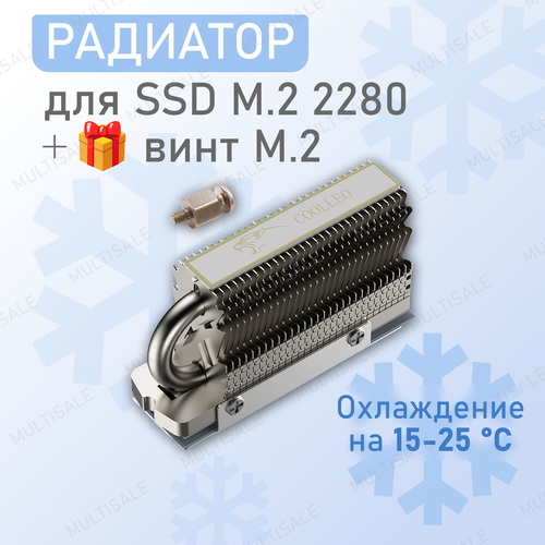 Алюминиевый радиатор охлаждения для SSD M.2 2280 Coolleo HR-09 с теплотрубкой, пассивное охлаждение, серебристый