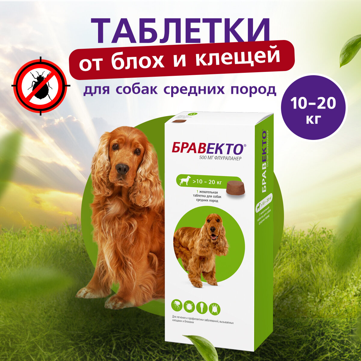 До 02.2026 Бравекто (MSD Animal Health) таблетки от блох и клещей для средних пород собак весом 10-20 кг, 1 таблетка в упаковке — фото 1