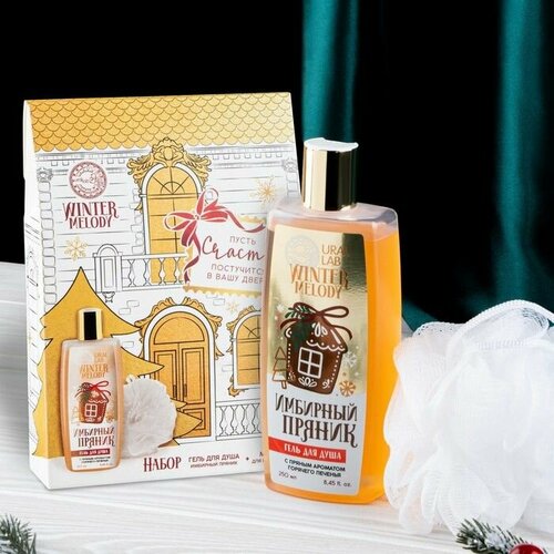 Набор Загадай желание гель для душа 250 мл и мочалка 958₽