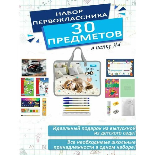 Набор школьника первоклассника канцелярский в папке А4, 30 предметов, для девочек Котенок