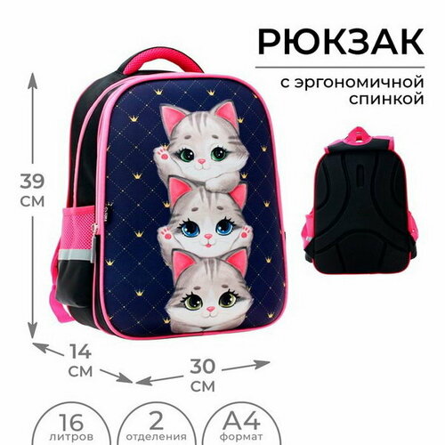Рюкзак каркасный школьный Котята, 39 x 30 x 14 см