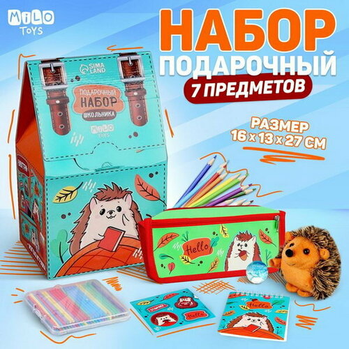 Подарочный набор с мягкой игрушкой Ёжик, 7 предметов