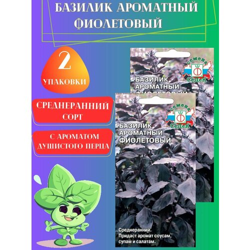 Семена базилика Фиолетовый Ароматный,2 упаковки семена базилика рози фиолетовый от нетипичного фермера