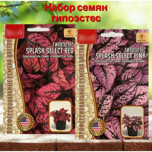 Семена растений для дома и сада Гипоэстес Рэд и Пинк набор 2 упаковки семена гипоэстеса splash select red 4 сем