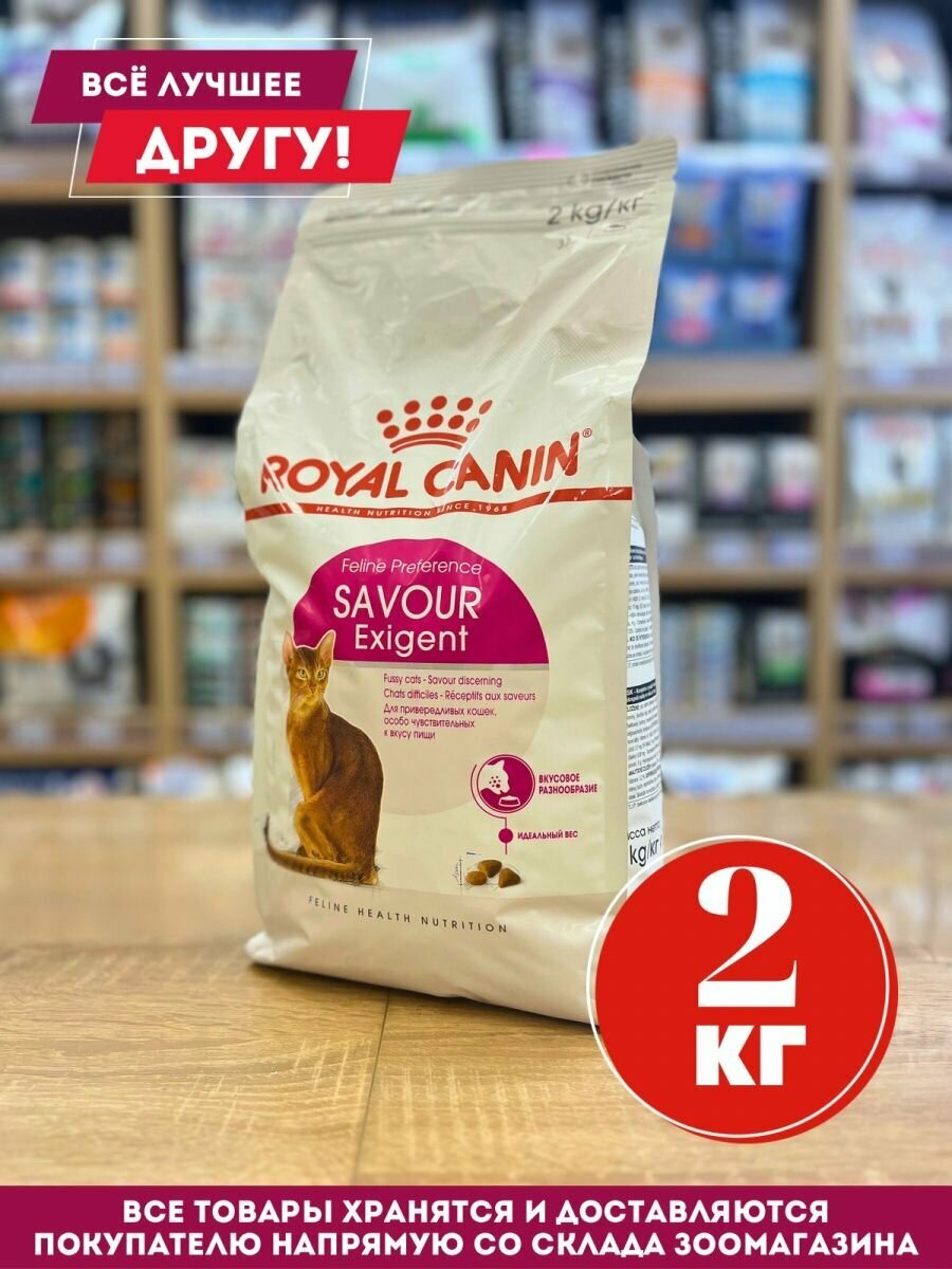 Royal Canin сухой корм для кошек и котов Savour 2 кг